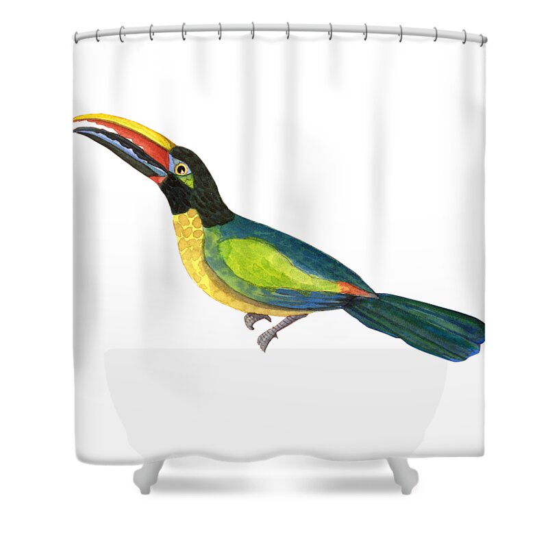 Toucan Shower Curtain featuring the painting Winged Jewels 2, Watercolor Toucan Rainforest Birds by Audrey Jeanne Roberts