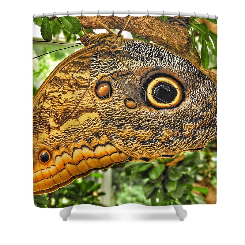 Brookside Gardens Shower Curtain featuring the photograph Wings of Fancy I by Kathi Isserman