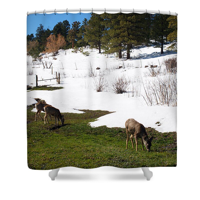 Colorado Shower Curtain featuring the photograph Winter and Spring by Kristin Davidson
