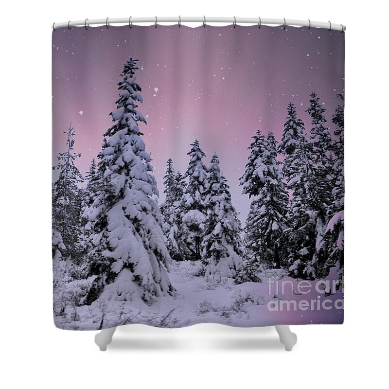 Landscape Shower Curtain featuring the photograph Winter Beauty by Sheila Ping