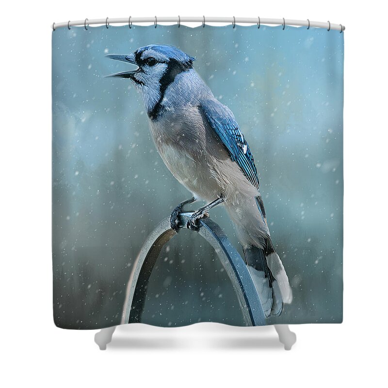 Blue Jay Shower Curtain featuring the photograph Winter Blue Jay Square by Cathy Kovarik