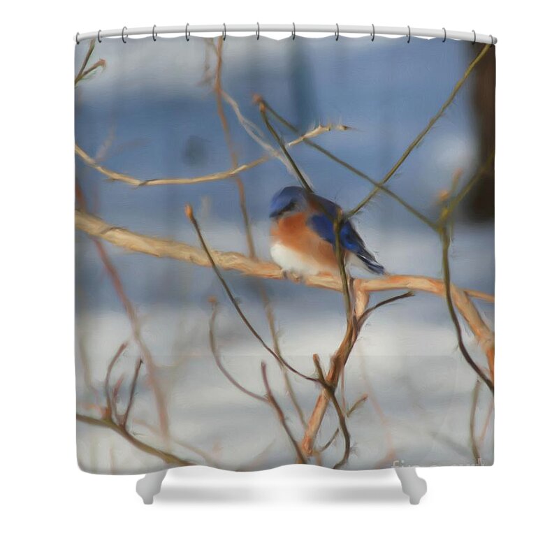 Bluebird Shower Curtain featuring the painting Winter Bluebird Nature Art by Smilin Eyes Treasures