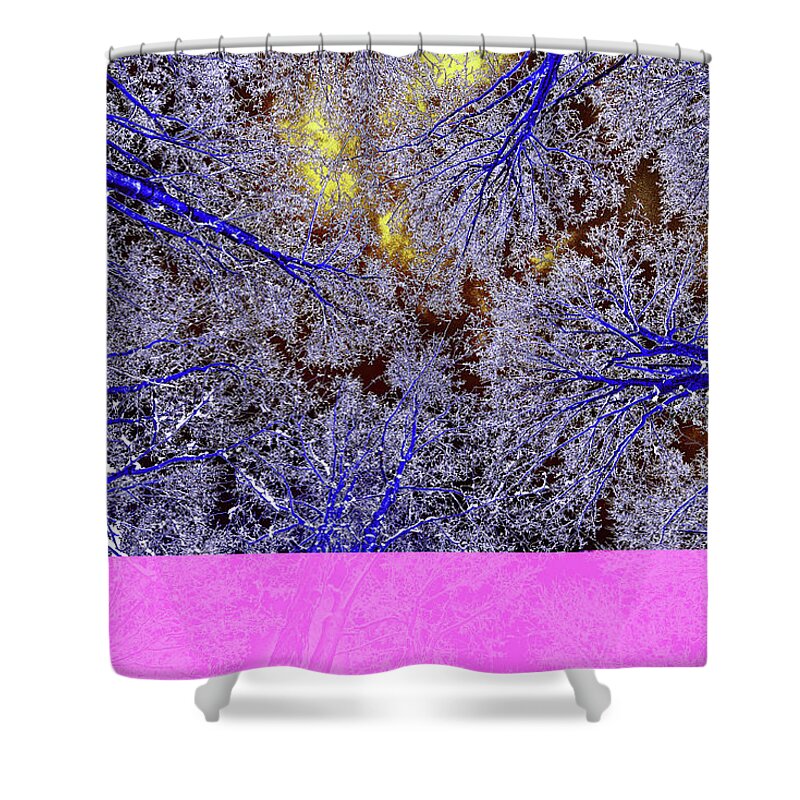 Oak Shower Curtain featuring the photograph Winter Blues by Tony Beck