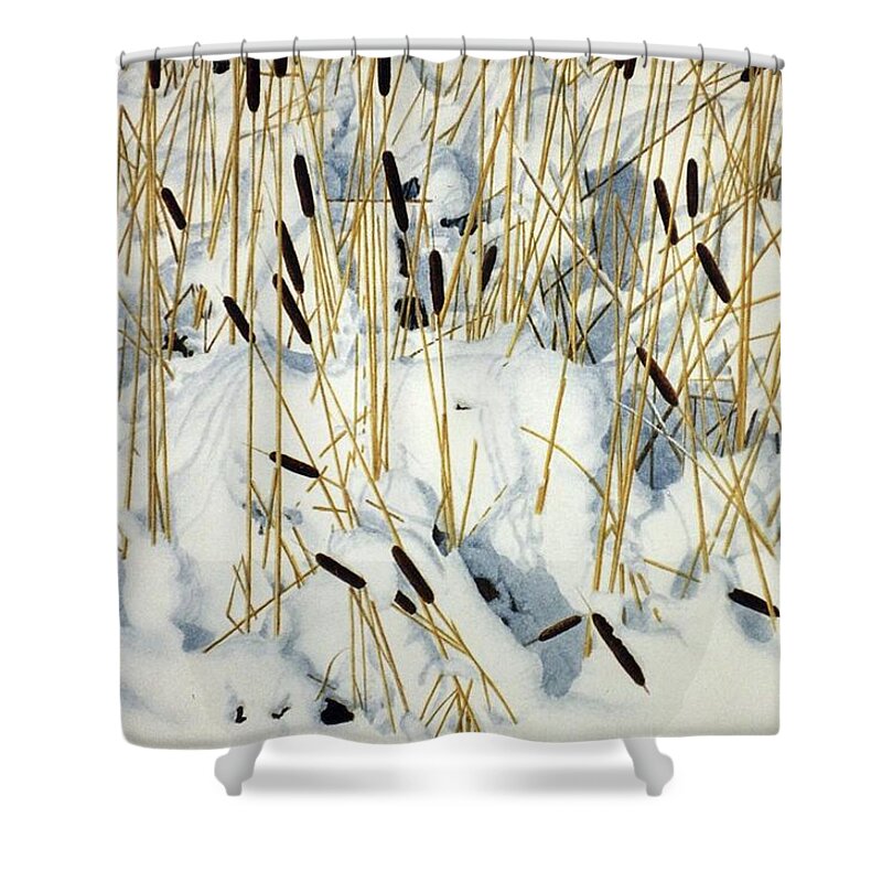 Cattails Shower Curtain featuring the painting Winter Cattails by Conrad Mieschke