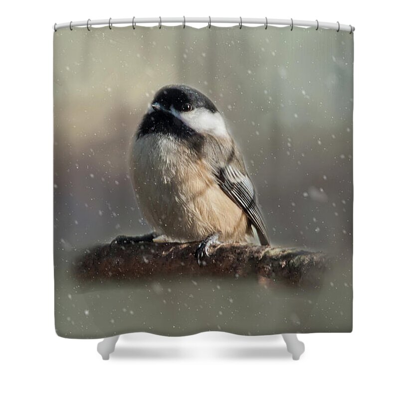 Song Bird Shower Curtain featuring the photograph Winter Chicadee by Cathy Kovarik
