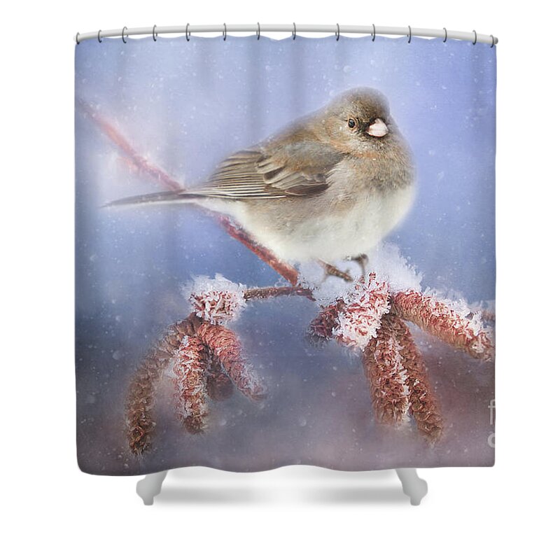 Texture Shower Curtain featuring the photograph Winter Chill by Darren Fisher