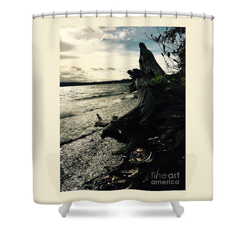 Driftwood Shower Curtain featuring the photograph Winter Comes To The Sea by LeLa Becker