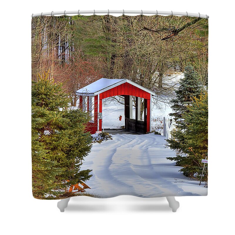 Bridge Shower Curtain featuring the photograph Winter Crossing by Evelina Kremsdorf