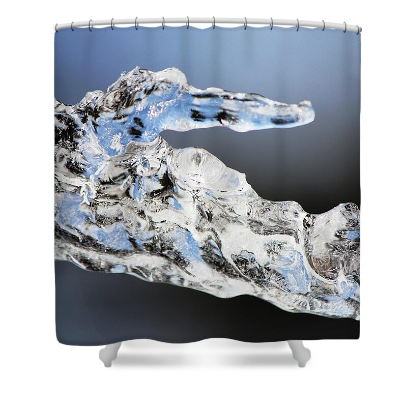 Winter Shower Curtain featuring the photograph Winter by Donn Ingemie