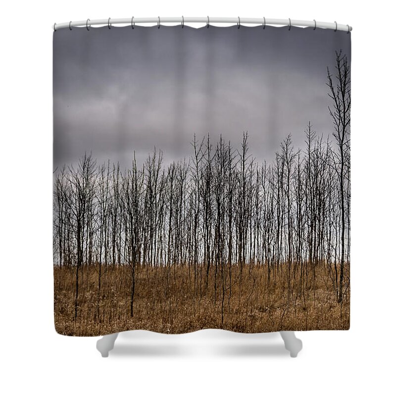 Park Shower Curtain featuring the photograph Winter dry by SAURAVphoto Online Store