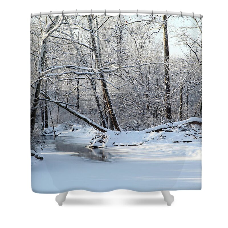 Snow Shower Curtain featuring the photograph Winter End by Robert Och