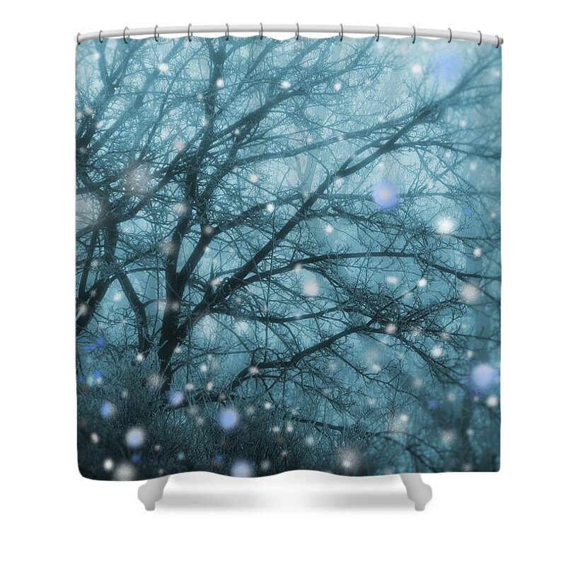 Snowfall Shower Curtain featuring the digital art Winter Evening Snowfall by Mary Wolf