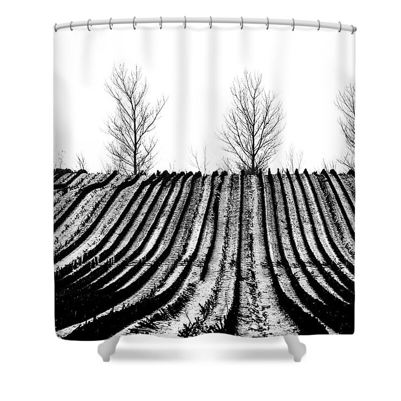 Winter Shower Curtain featuring the photograph Winter fields by Mike Santis
