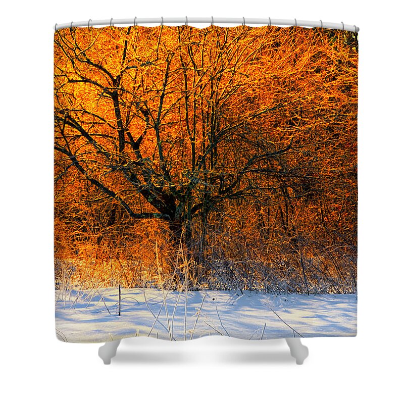 Winter Landscape Shower Curtain featuring the photograph Winter Fire by Irwin Barrett