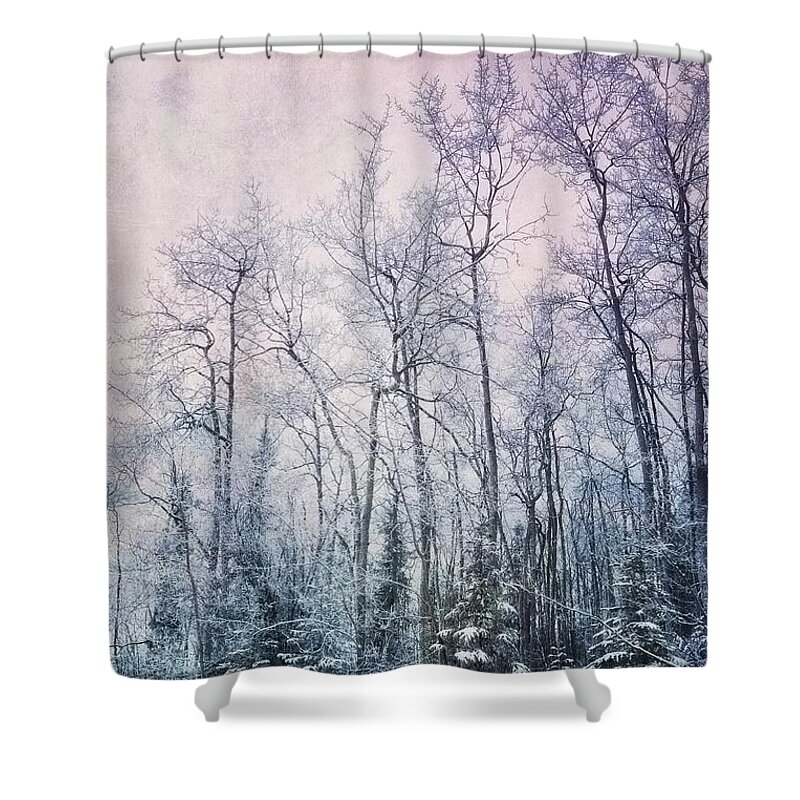 Forest Shower Curtain featuring the photograph Winter Forest by Priska Wettstein