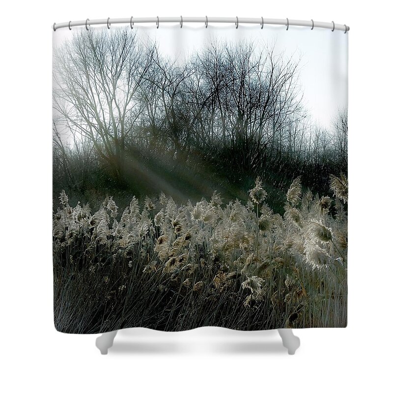  Shower Curtain featuring the photograph Winter Fringe by Kendall McKernon