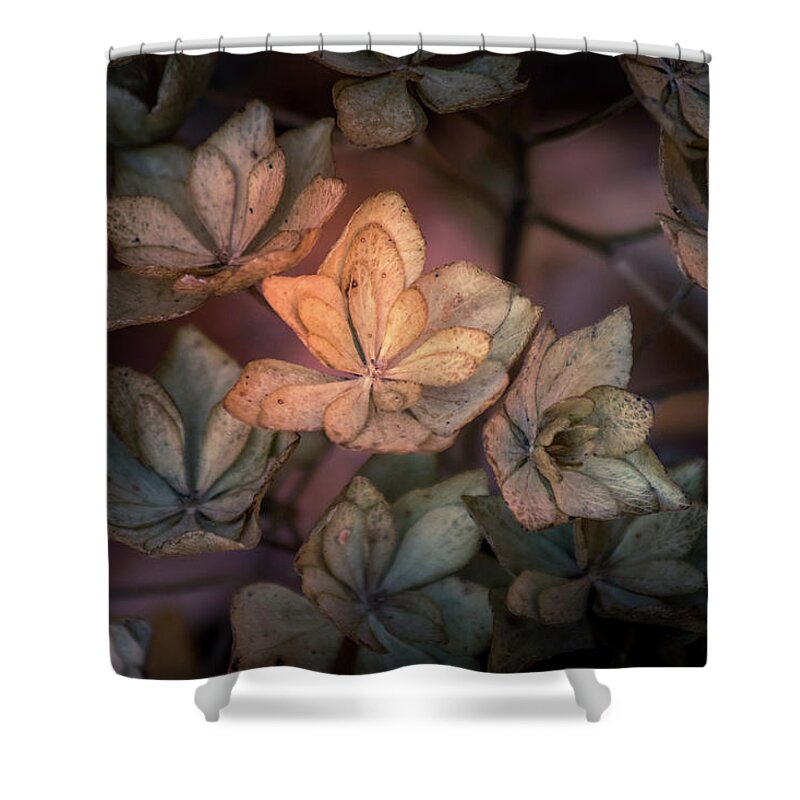 Flower Shower Curtain featuring the photograph Winter Glow by Allin Sorenson