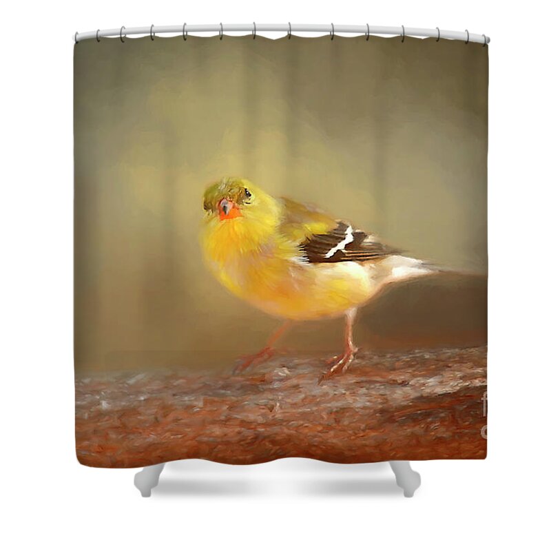 Winter Goldfinch Shower Curtain featuring the photograph Winter Goldfinch by Darren Fisher