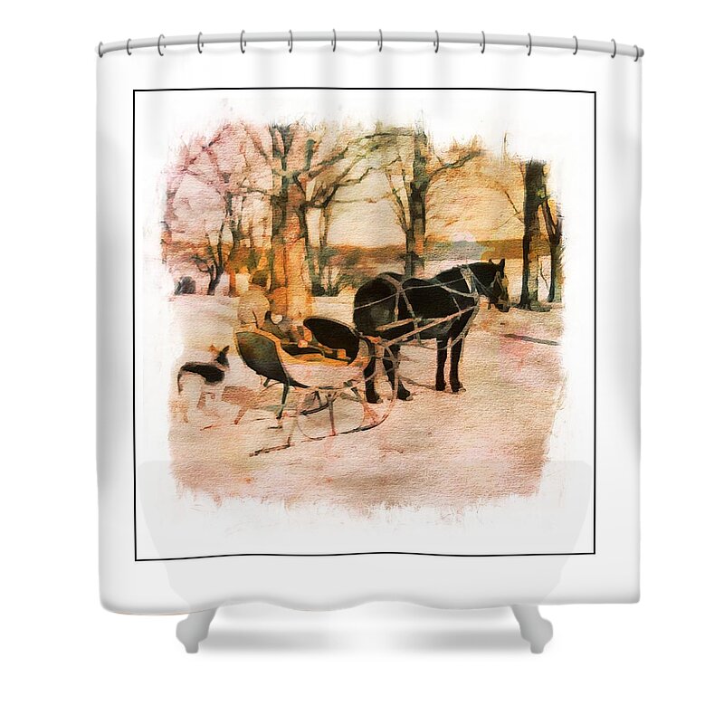 Horse Shower Curtain featuring the photograph Winter Horse Sled by Russ Considine