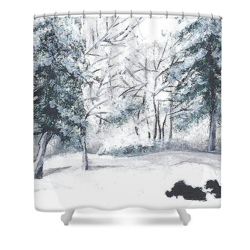 Winter Shower Curtain featuring the painting Winter in Weatogue by Dani McEvoy