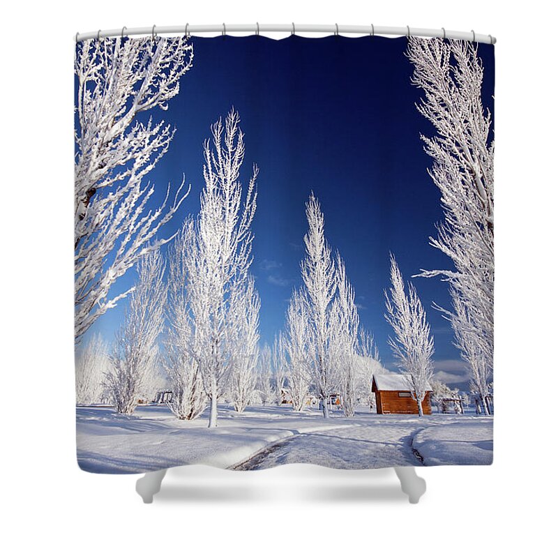 Winter Shower Curtain featuring the photograph Winter Landscape by Wesley Aston