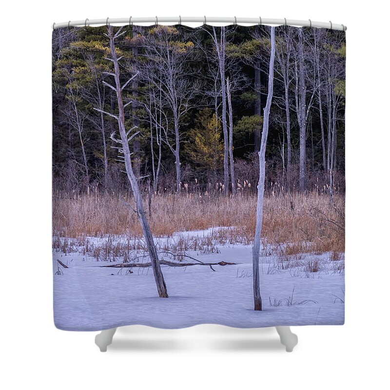 Spofford Lake New Hampshire Shower Curtain featuring the photograph Winter Marsh And Trees by Tom Singleton