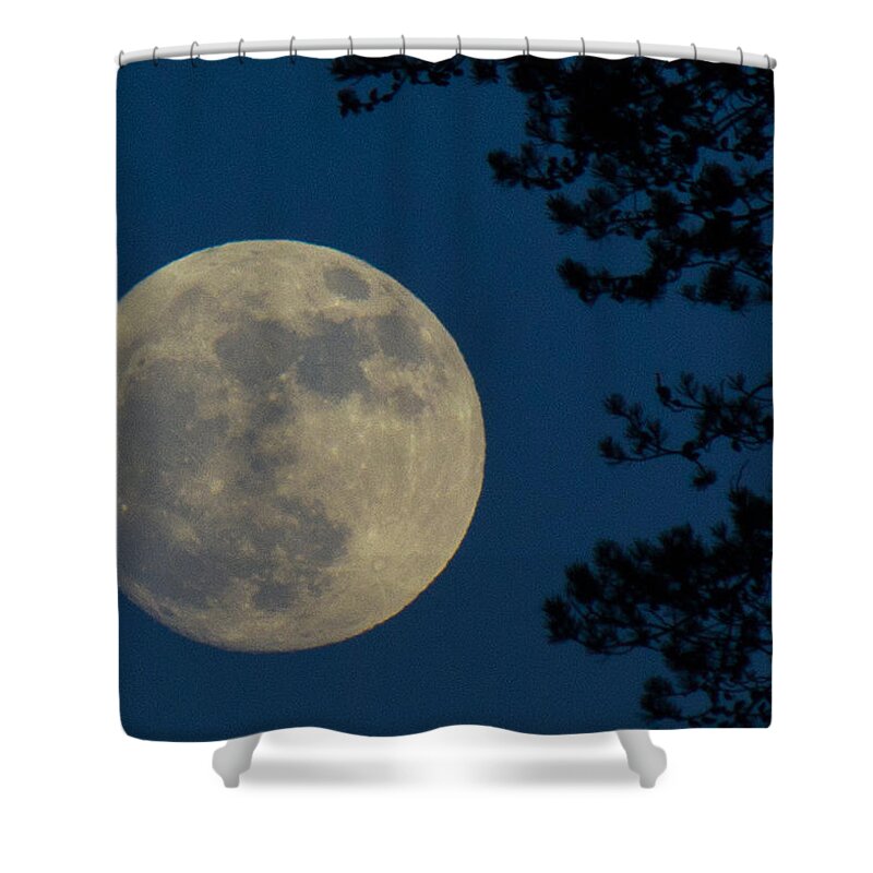 Moon Shower Curtain featuring the photograph Winter Moon by Randy Hall