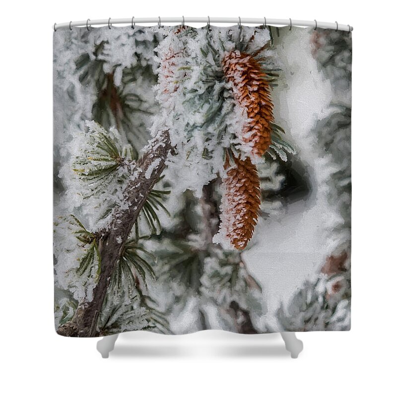 Architectural Photographer Shower Curtain featuring the photograph Winter Pine Cones by Lou Novick