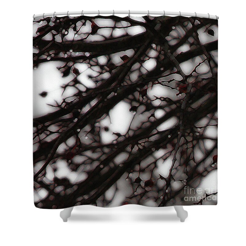 Branches Shower Curtain featuring the photograph Winter Rain - 3 by Linda Shafer