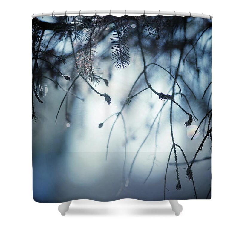 Winter Shower Curtain featuring the photograph Winter by Rebecca Cozart