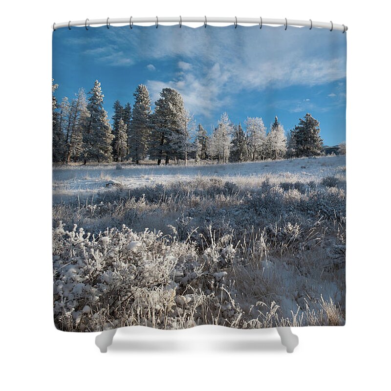 Kenosha Pass Shower Curtain featuring the photograph Winter Snow at Kenosha Pass by Cascade Colors