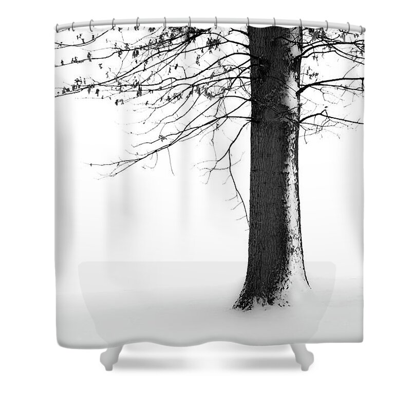 Winter Shower Curtain featuring the photograph Winter Solitude by Marla Craven