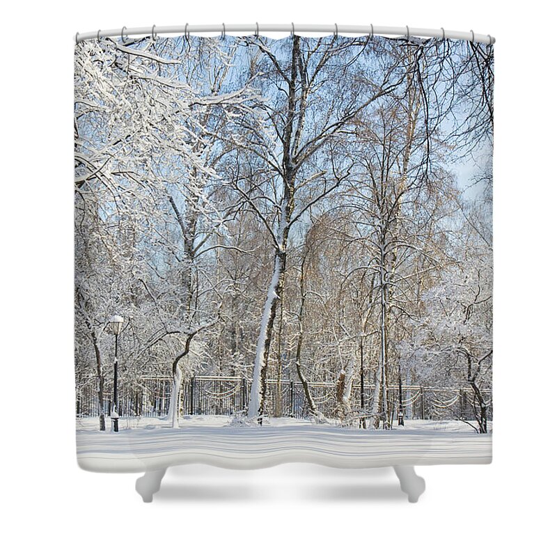 Winter Shower Curtain featuring the photograph Winter sunny day in park by Irina Afonskaya