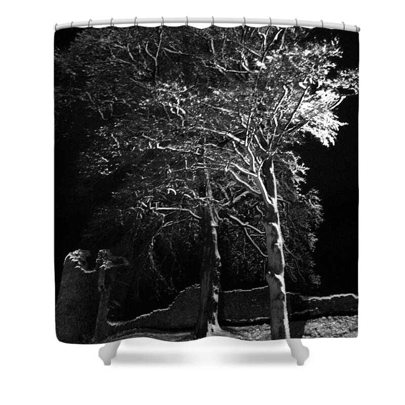 Winter Shower Curtain featuring the photograph Winter tree at night by Lukasz Ryszka