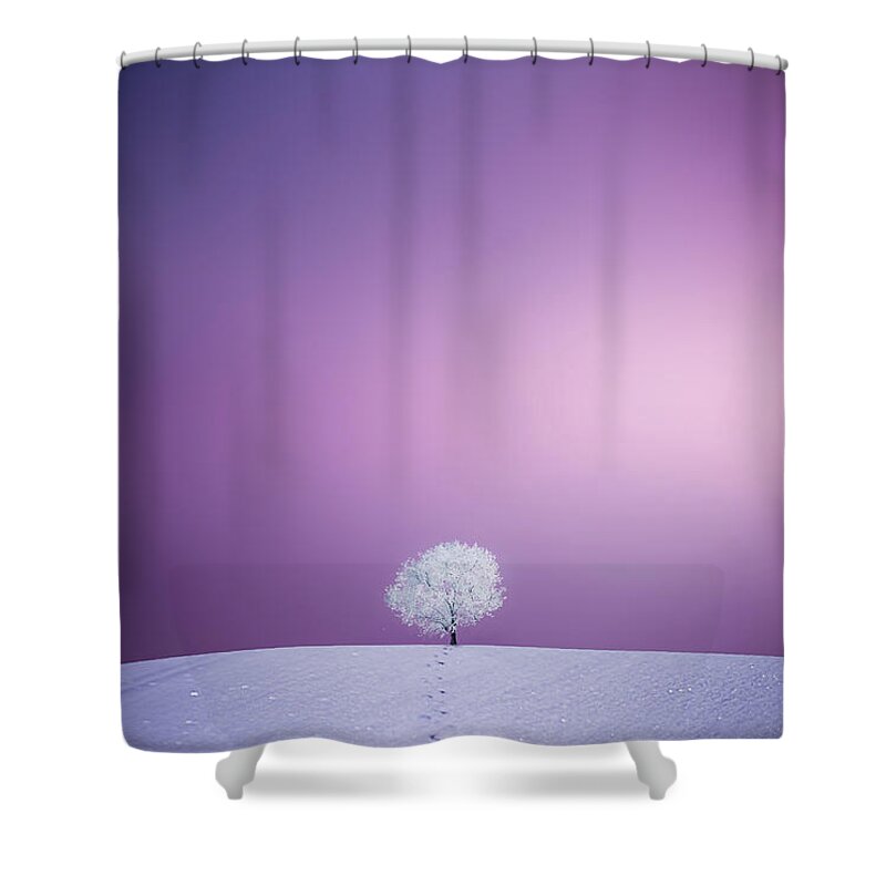 Apple Shower Curtain featuring the photograph Winter Tree by Bess Hamiti