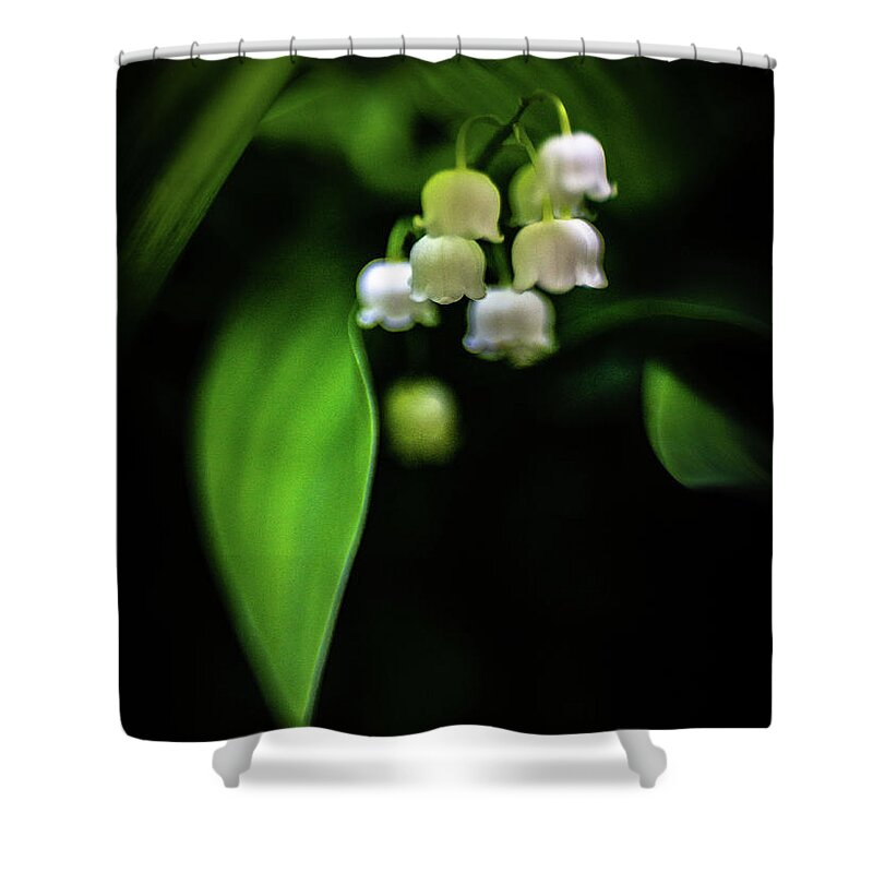 Lily Of The Valley Shower Curtain featuring the photograph Shade Blossoms by Pamela Taylor