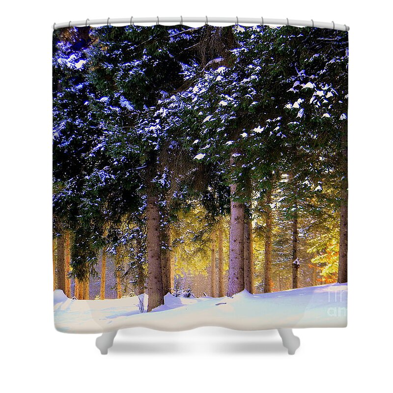 Sunlight Shower Curtain featuring the photograph Winter Wonder by Elfriede Fulda