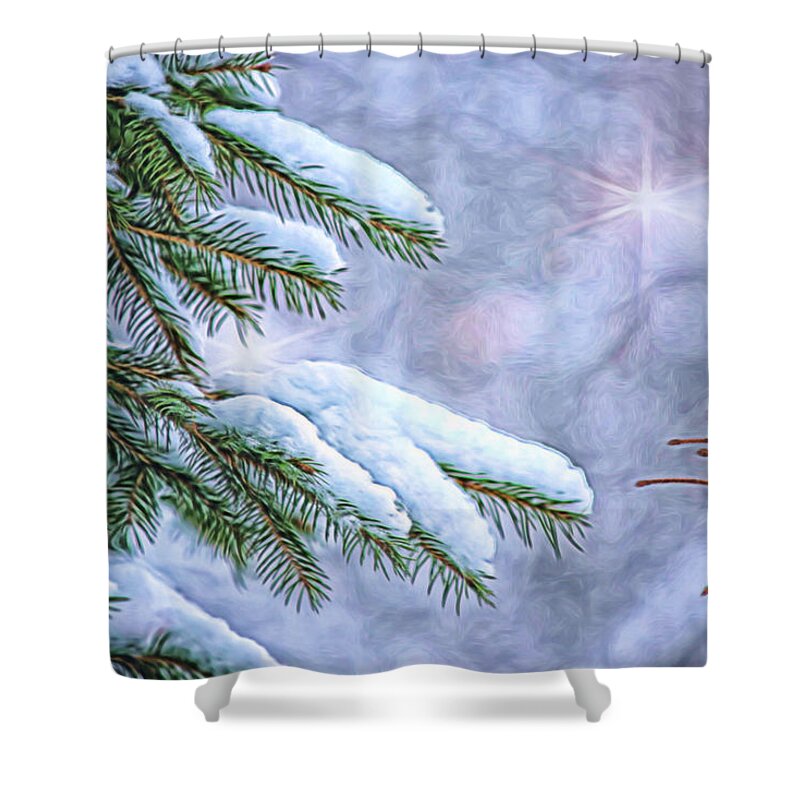 Nature Shower Curtain featuring the photograph Winter Wonderland by Sharon McConnell