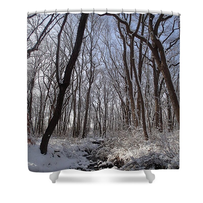 Nature Shower Curtain featuring the photograph Winter Woods 3 by Robert Nickologianis