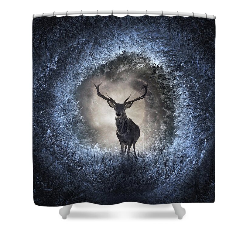 Light Shower Curtain featuring the digital art Winter by Zoltan Toth