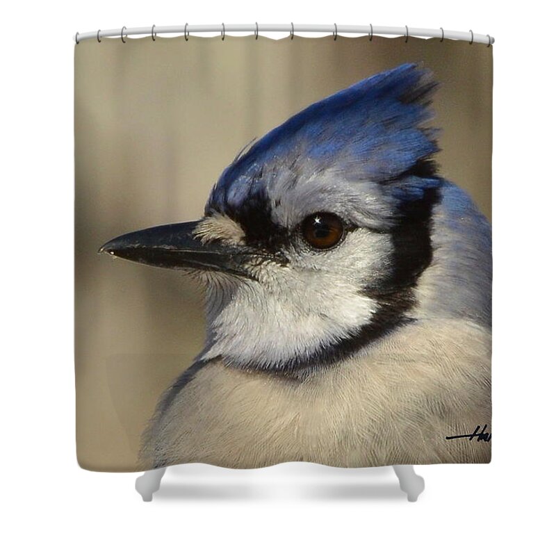 Bird Shower Curtain featuring the photograph Winters Friend by Harry Moulton