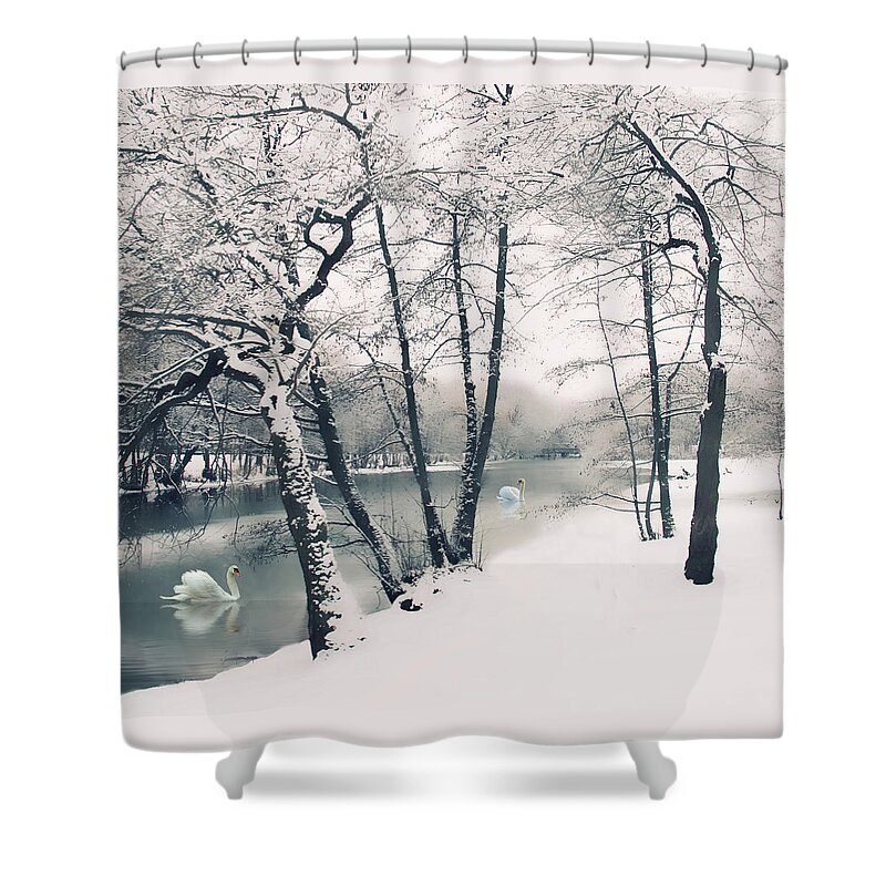 Winter Shower Curtain featuring the photograph Winter's Grace by Jessica Jenney