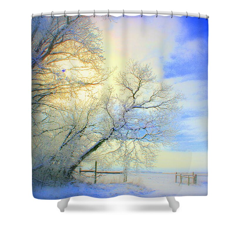 Snowy Sunday Shower Curtain featuring the photograph Winters Pretty Presents by Julie Lueders 