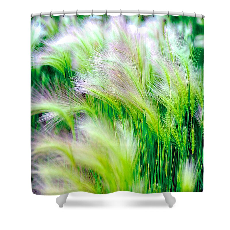 Green Shower Curtain featuring the photograph Wispy Green by Richard Gehlbach