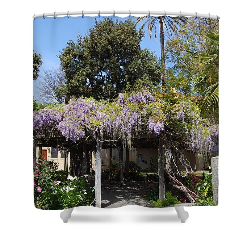 Wisteria Shower Curtain featuring the photograph Wisteria Blessings by Carolyn Donnell