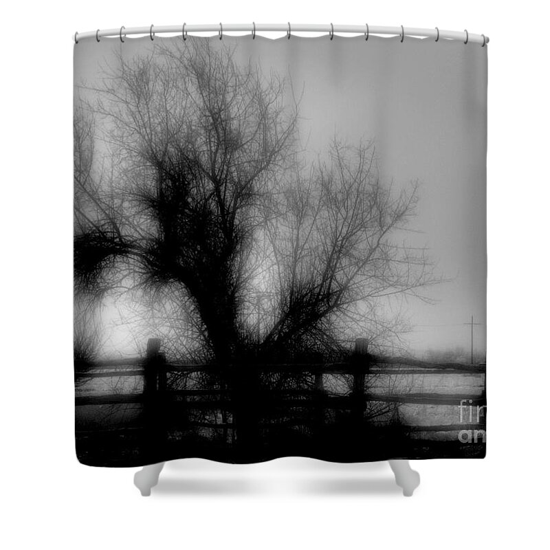 Tree Shower Curtain featuring the photograph Witching Tree #1 by Mimulux Patricia No