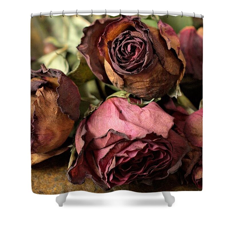 Photography By Suzanne Stout Shower Curtain featuring the photograph Withering Elegance by Suzanne Stout