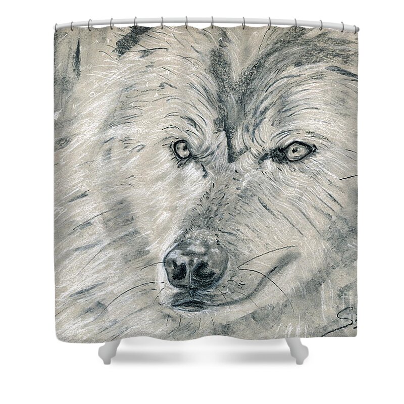 Charcoal Shower Curtain featuring the drawing Wolf in Charcoal by Lidija Ivanek - SiLa