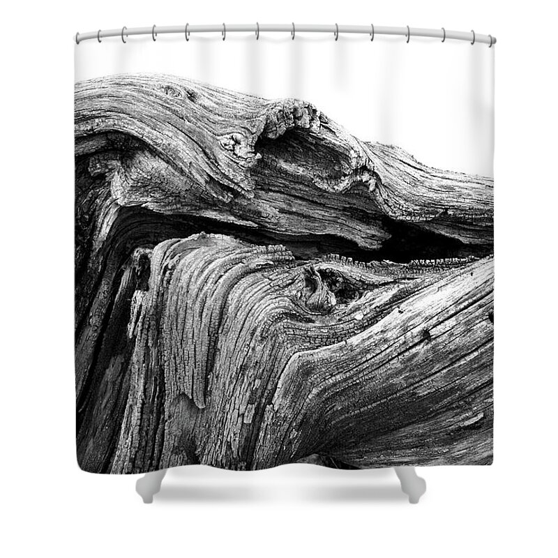 Wood Shower Curtain featuring the photograph Wood #1256 by Raymond Magnani