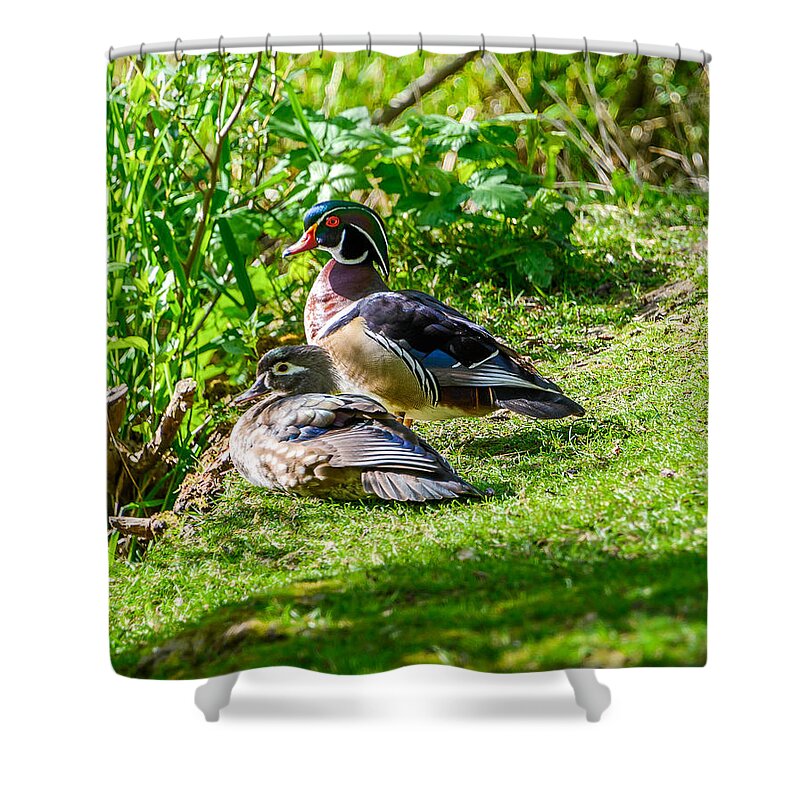 Wood Ducks Shower Curtain featuring the photograph Wood Duck Pair by Jerry Cahill